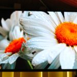 ویدئووال‌های آریاتک در شمال ایران | راهکار حرفه‌ای نمایش تصویر در مقیاس بزرگ