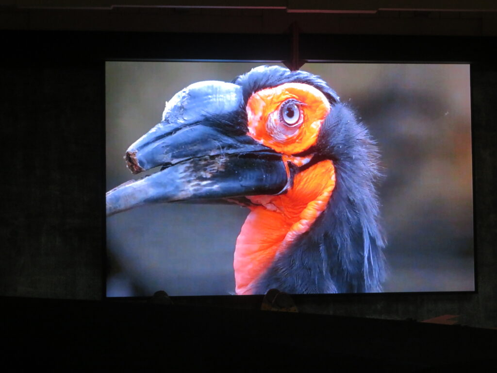 استفاده از ویدئووال در سالن همایش،کنفرانس و سالن پذیرایی